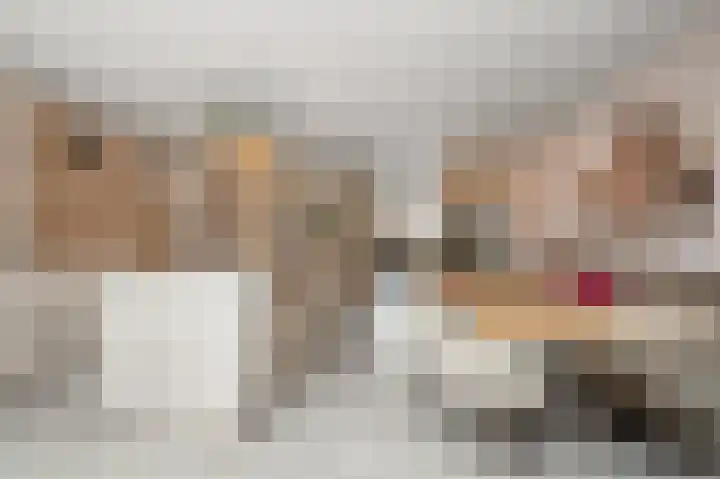 Westlanderwerf 9 Leiden