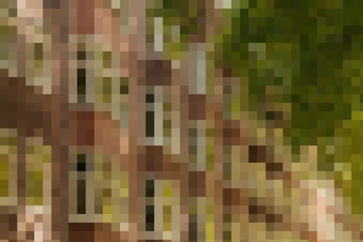 Westlandgracht 157 4 Amsterdam thumbnail 26