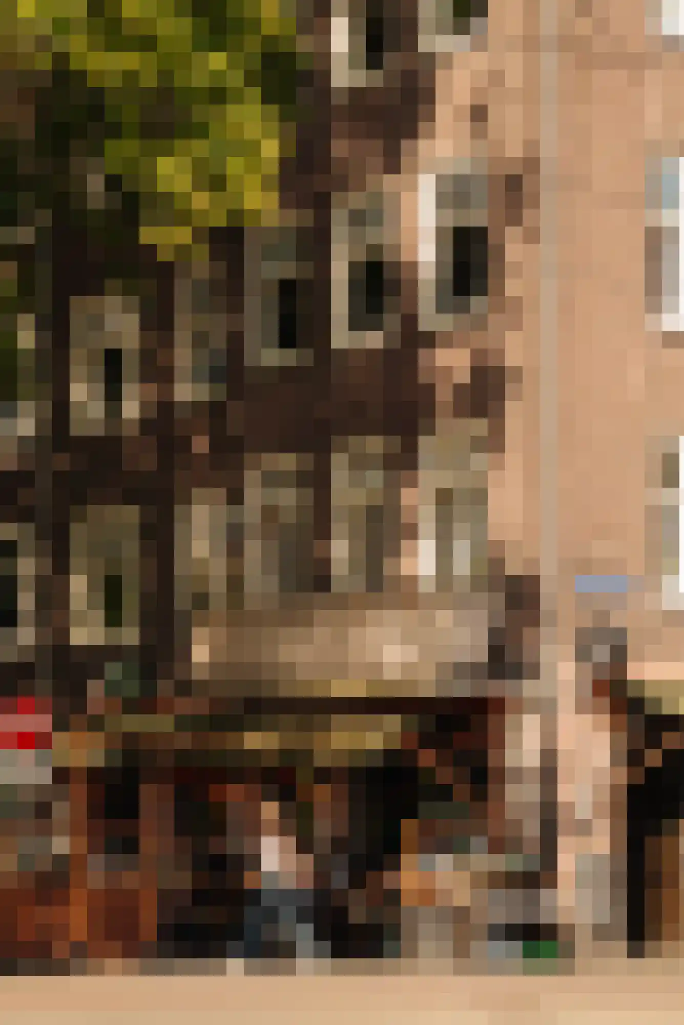 Westlandgracht 157 4 Amsterdam thumbnail 30