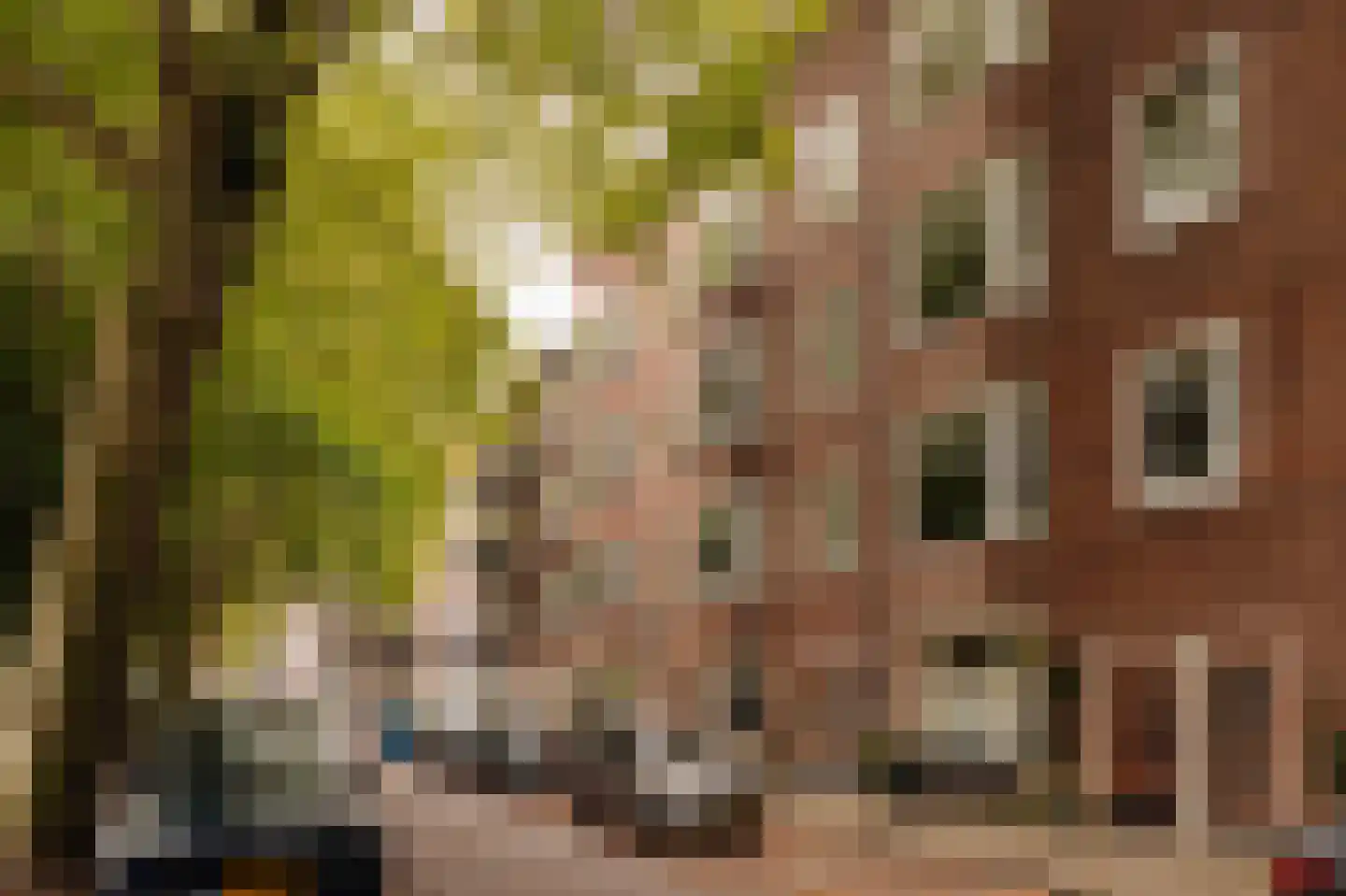 Westlandgracht 157 4 Amsterdam thumbnail 32