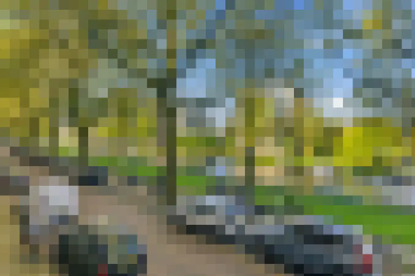 Westlandgracht 179 1 Amsterdam thumbnail 16