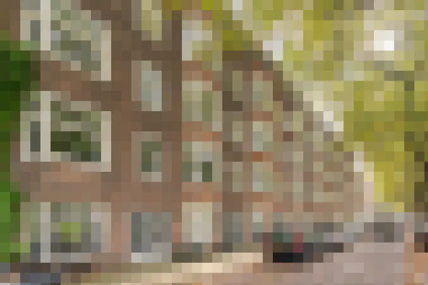 Westlandgracht 183 3 Amsterdam thumbnail 31