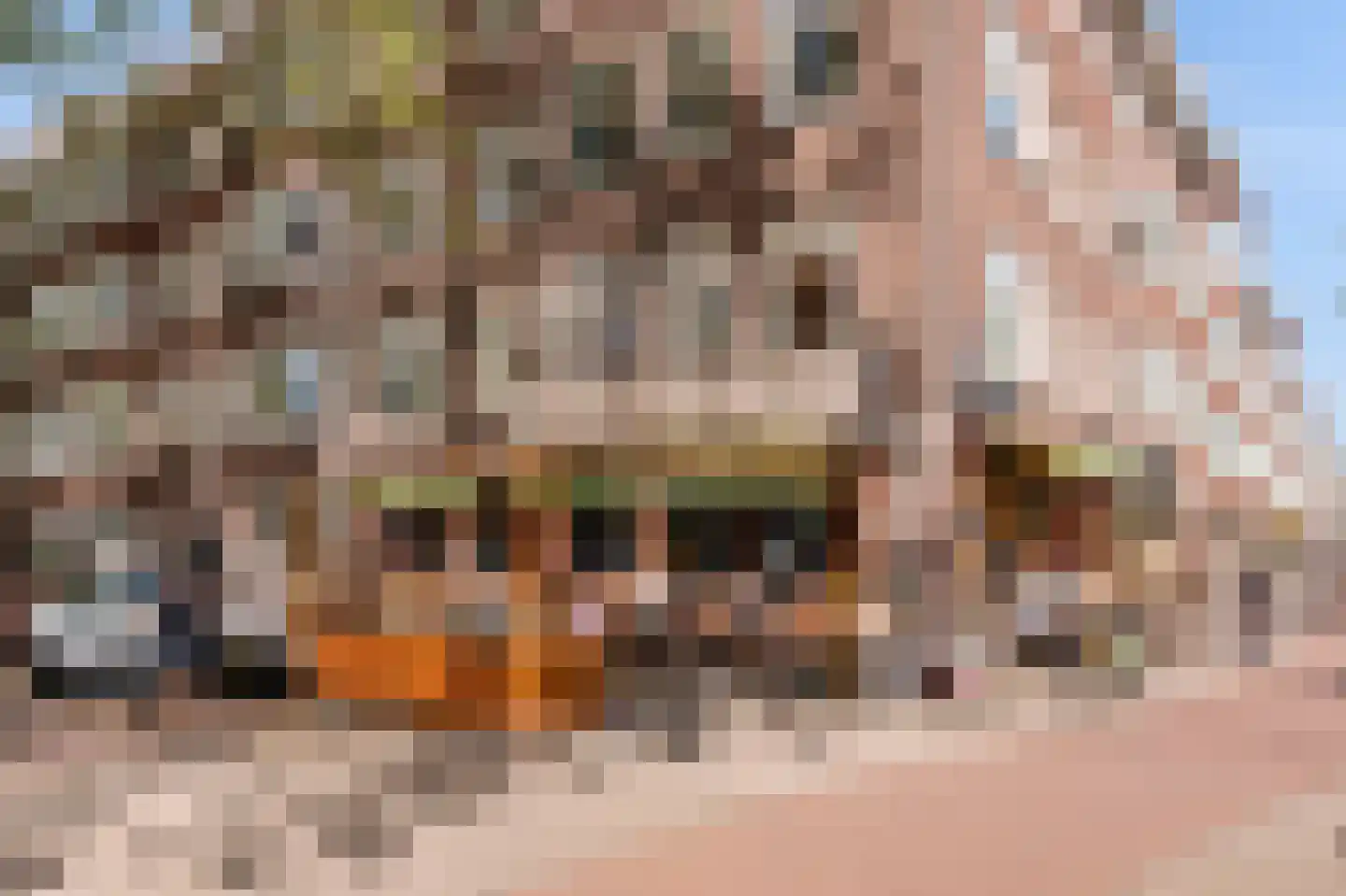 Westlandgracht 183 3 Amsterdam thumbnail 33