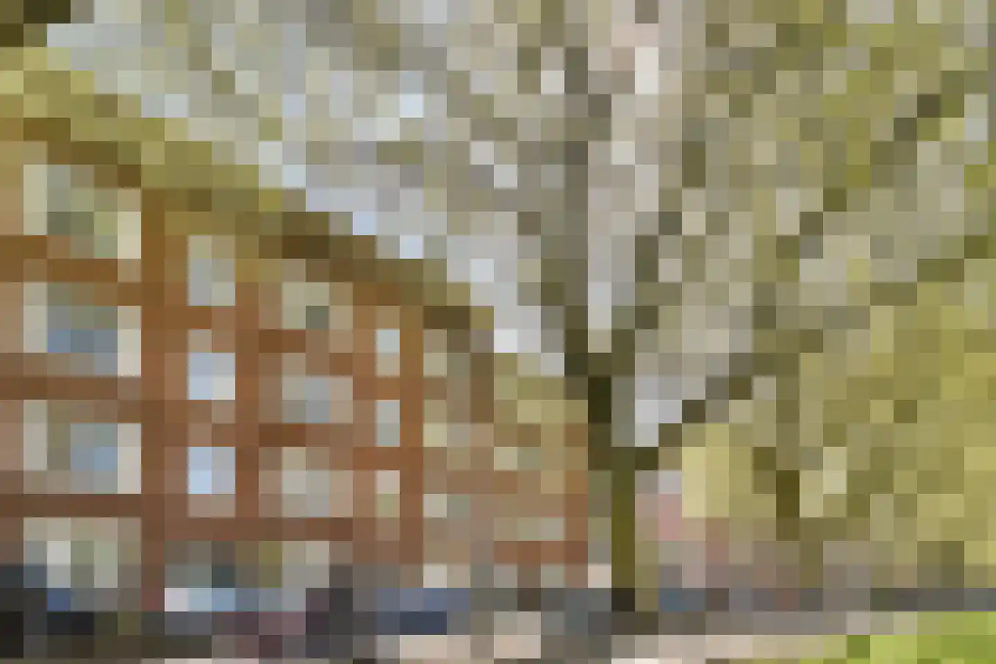 Westlandgracht 195 3 Amsterdam thumbnail 30