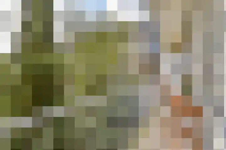 Westlandgracht 215 2 Amsterdam thumbnail 14