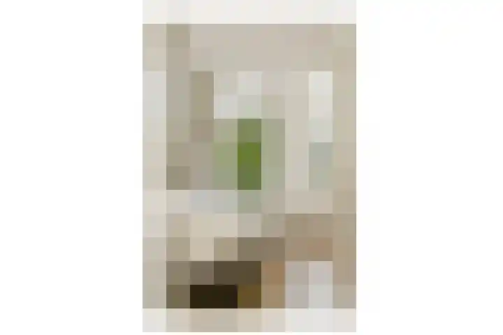 Westlandgracht 215 2 Amsterdam thumbnail 16