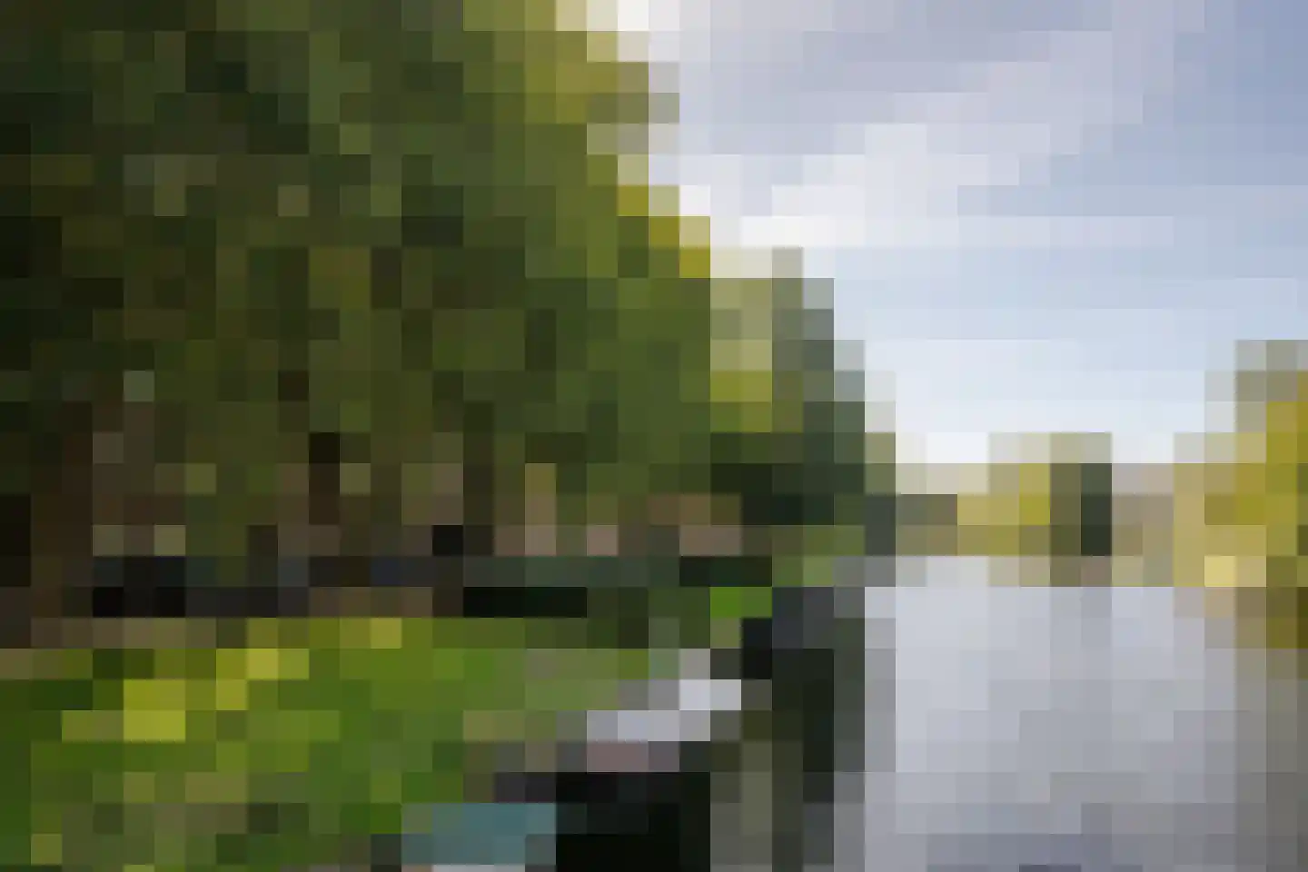 Westlandgracht 217 2 Amsterdam thumbnail 34