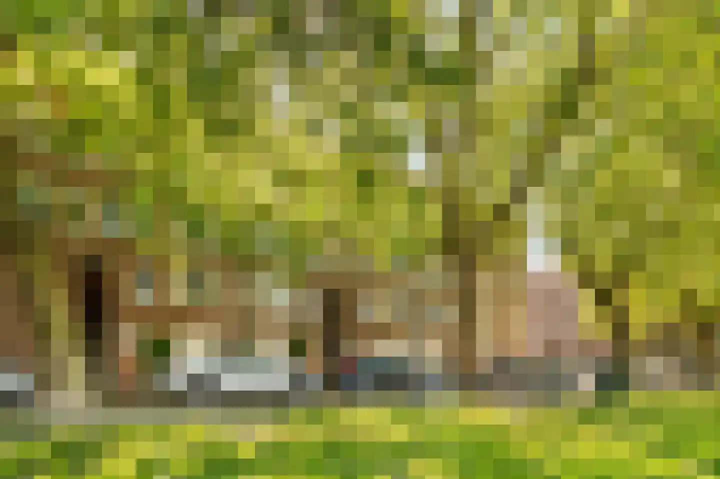 Westlandgracht 227 3 Amsterdam thumbnail 13