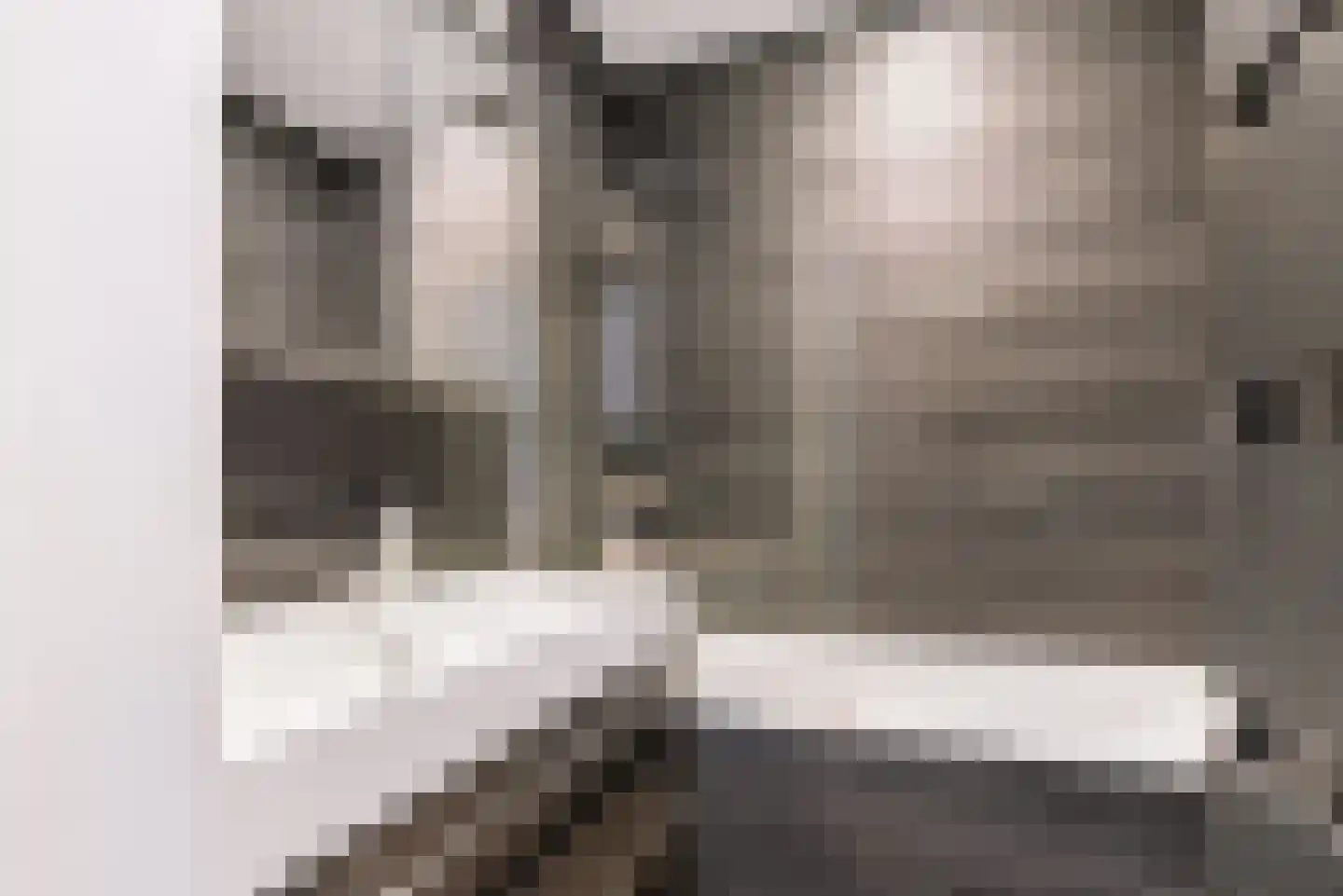 Westlandgracht 237 1 Amsterdam thumbnail 6