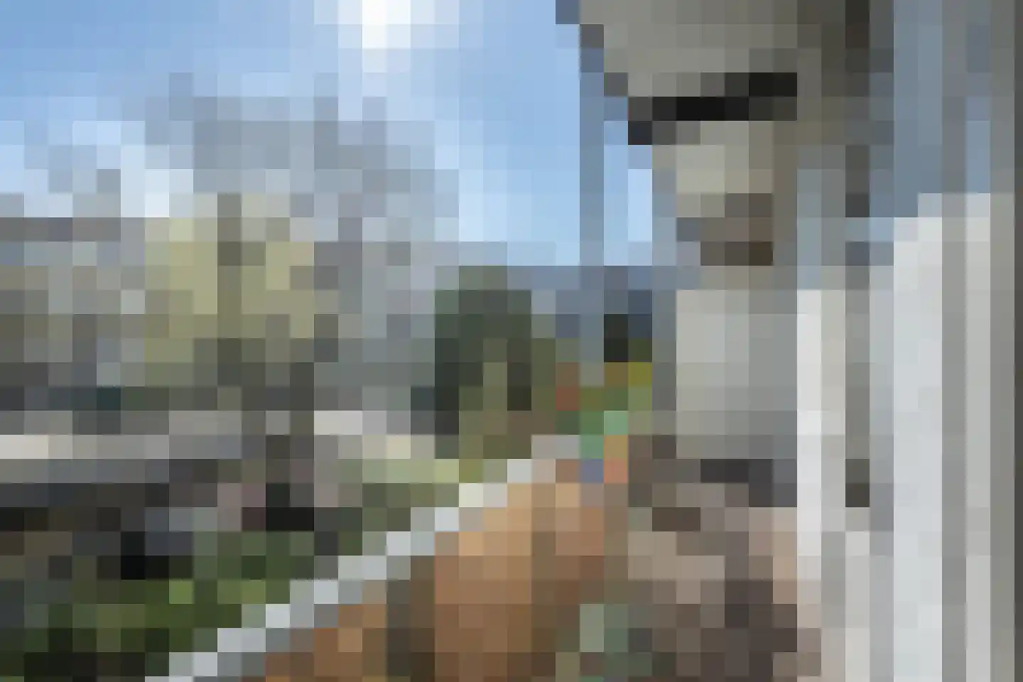 Westlandgracht 241 1 Amsterdam thumbnail 15