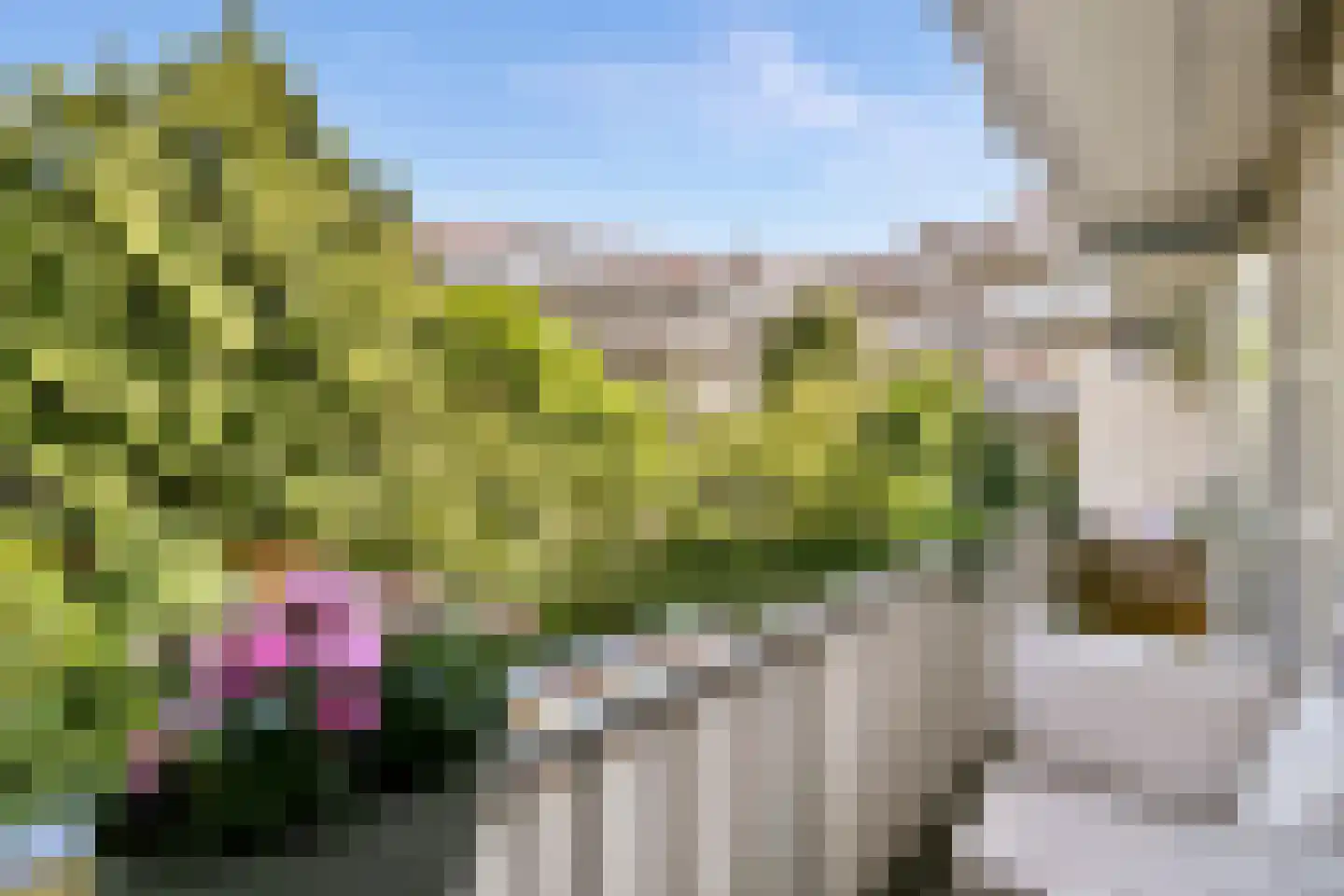 Westlandgracht 247 1 Amsterdam thumbnail 13