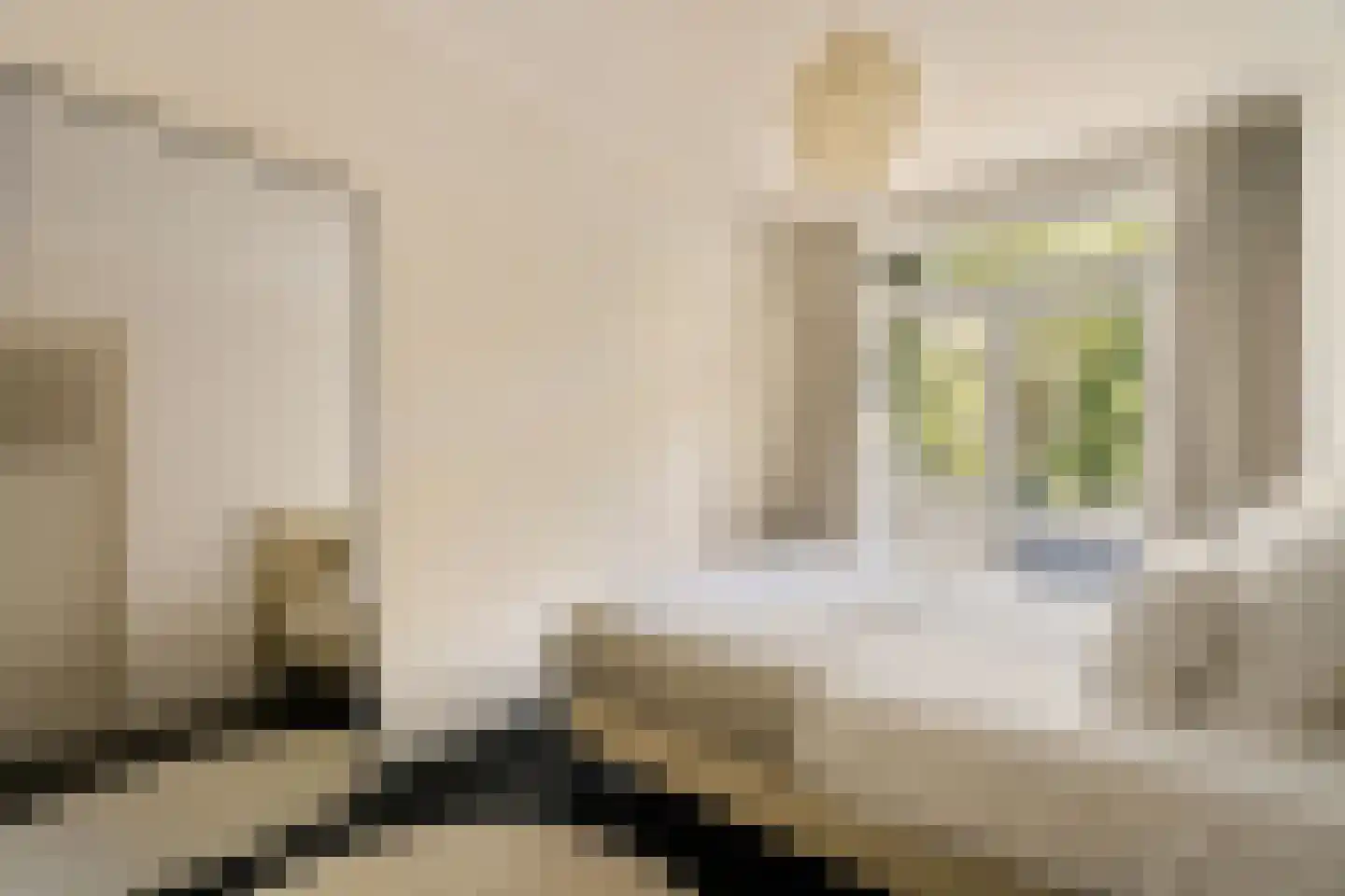 Westlandgracht 247 1 Amsterdam thumbnail 15