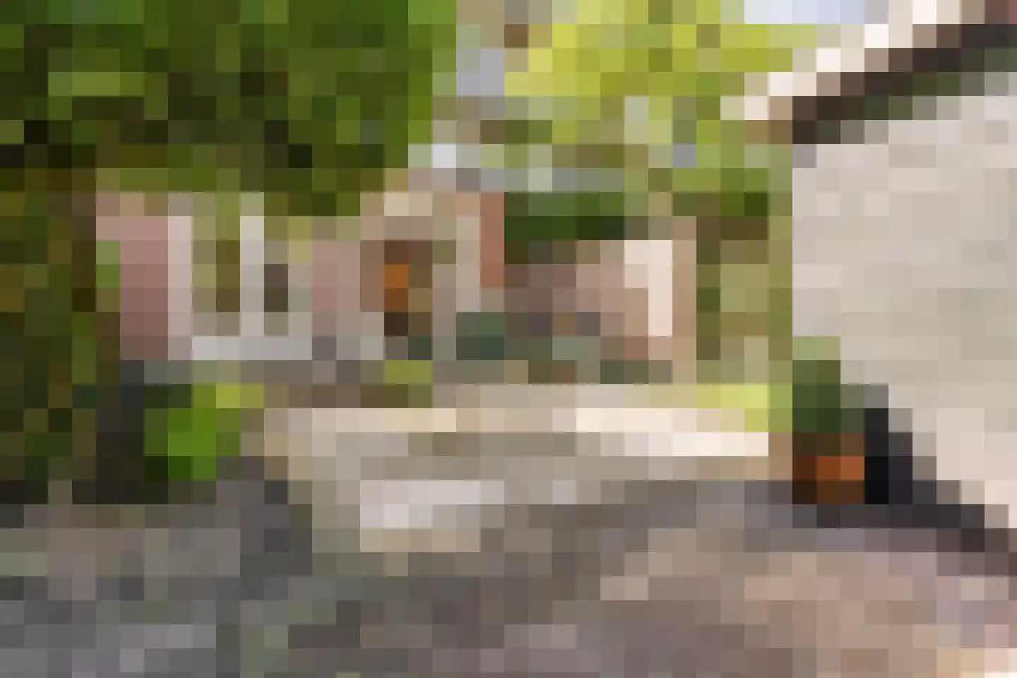 Westlandgracht 251 1 Amsterdam thumbnail 18