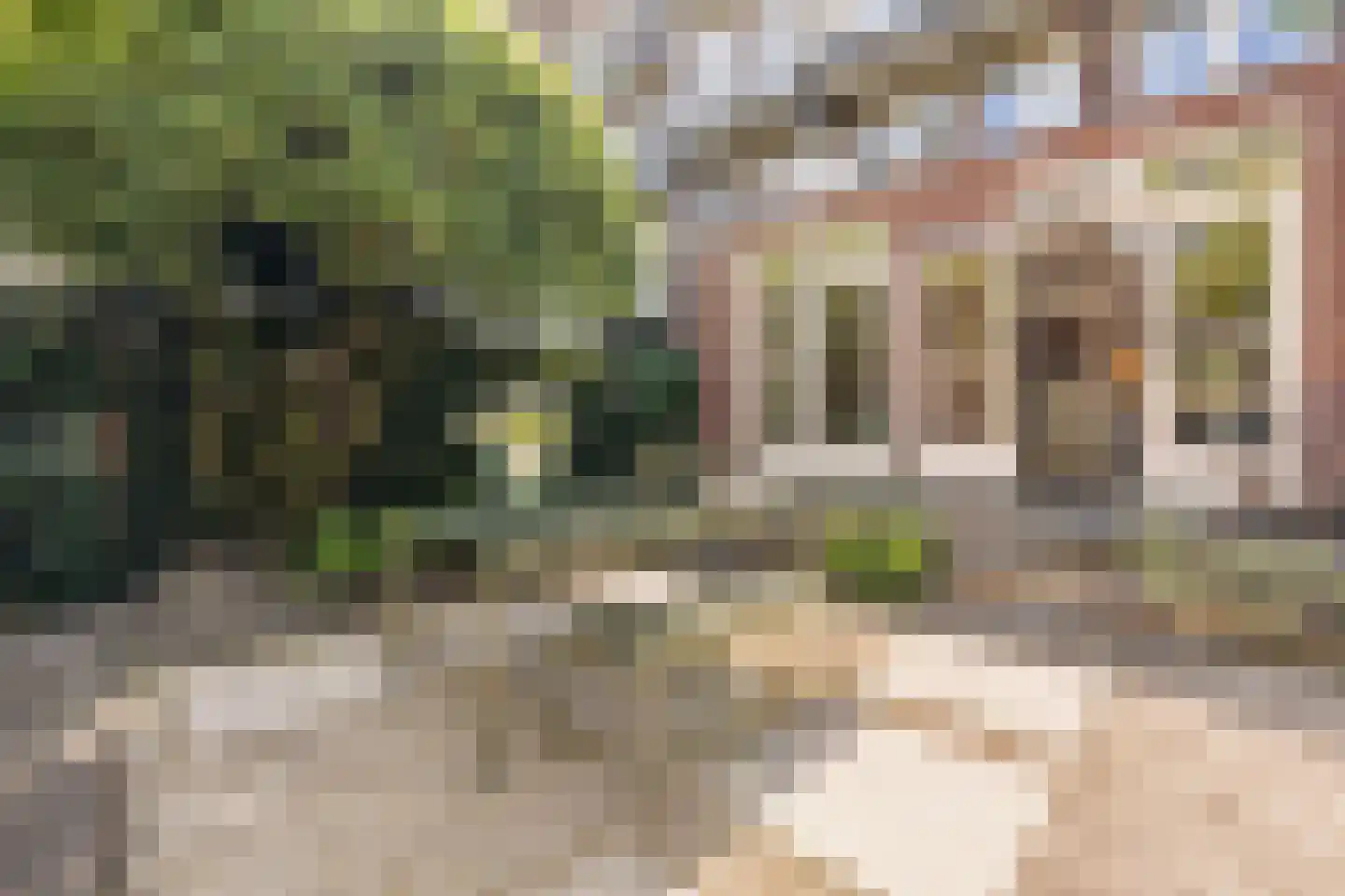 Westlandgracht 251 1 Amsterdam thumbnail 19