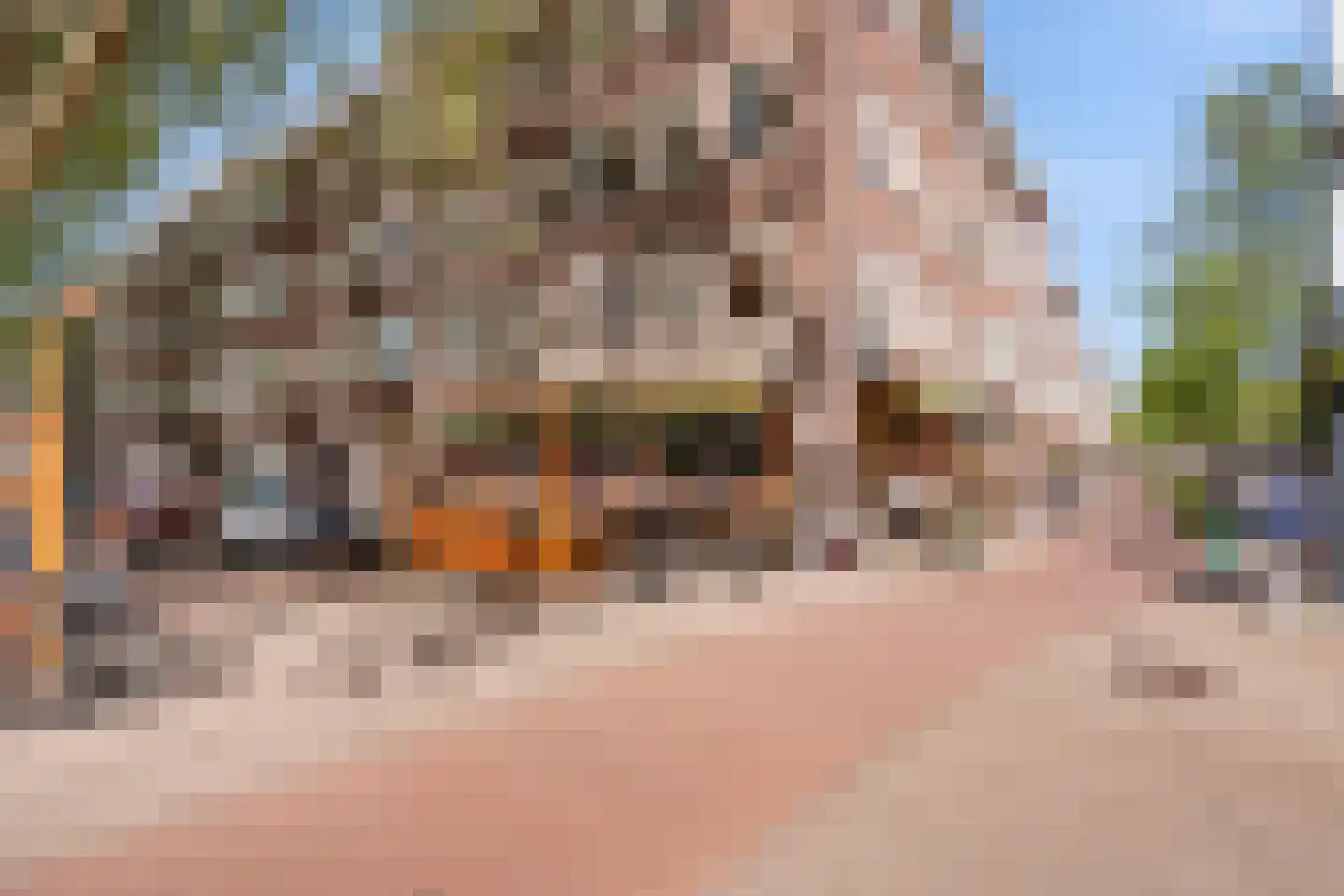 Westlandgracht 251 1 Amsterdam thumbnail 30