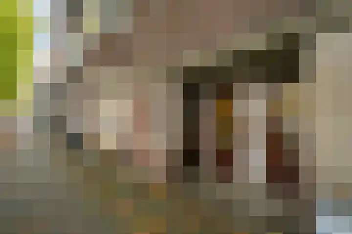 Westlandgracht 43 1 Amsterdam thumbnail 22