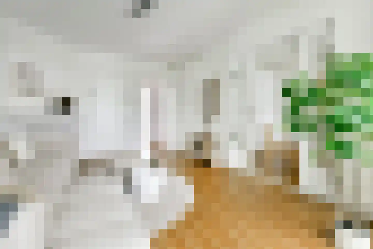 Westlandgracht 51 3 Amsterdam thumbnail 9