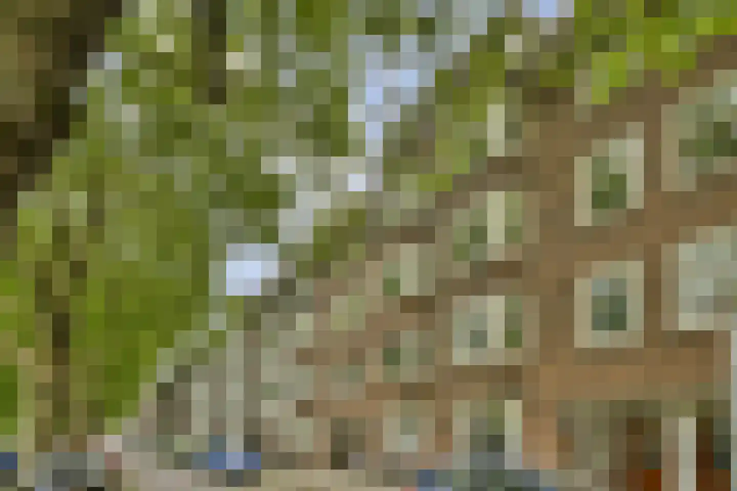 Westlandgracht 69 2 Amsterdam thumbnail 25