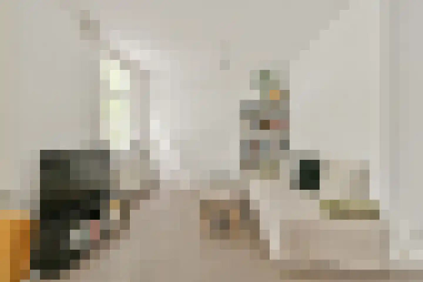Westlandgracht 69 2 Amsterdam thumbnail 7