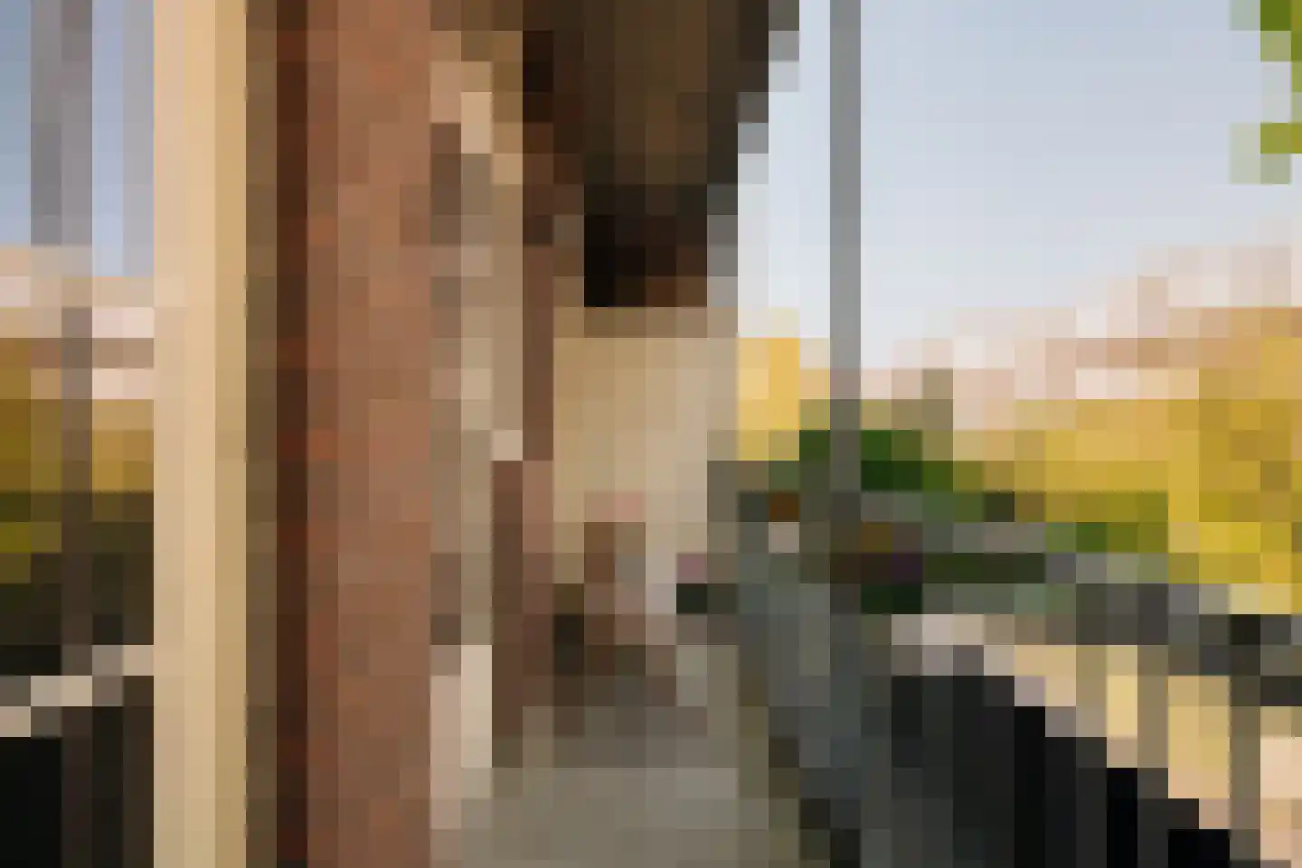 Westlandgracht 77 1 Amsterdam thumbnail 21