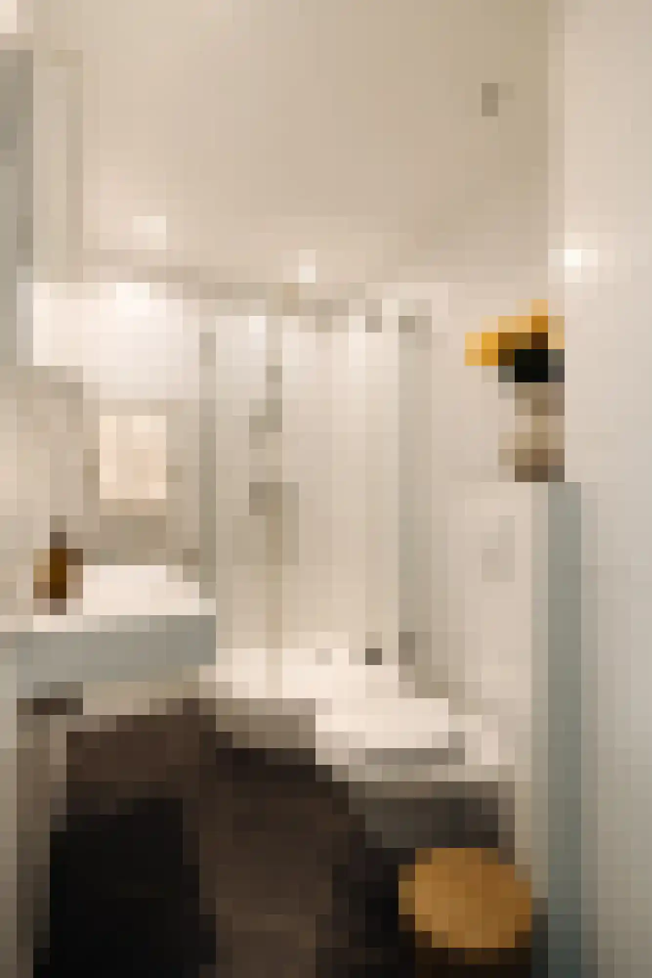 Westlandgracht 77 H Amsterdam thumbnail 17