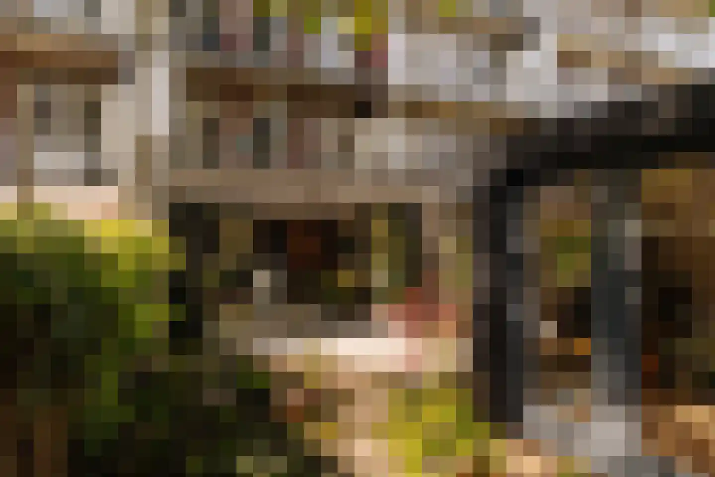 Westlandgracht 77 H Amsterdam thumbnail 25