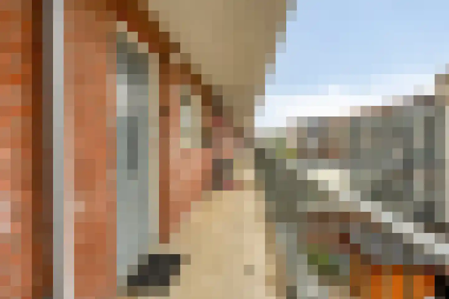 Westlandseplein 44 Den Haag thumbnail 9