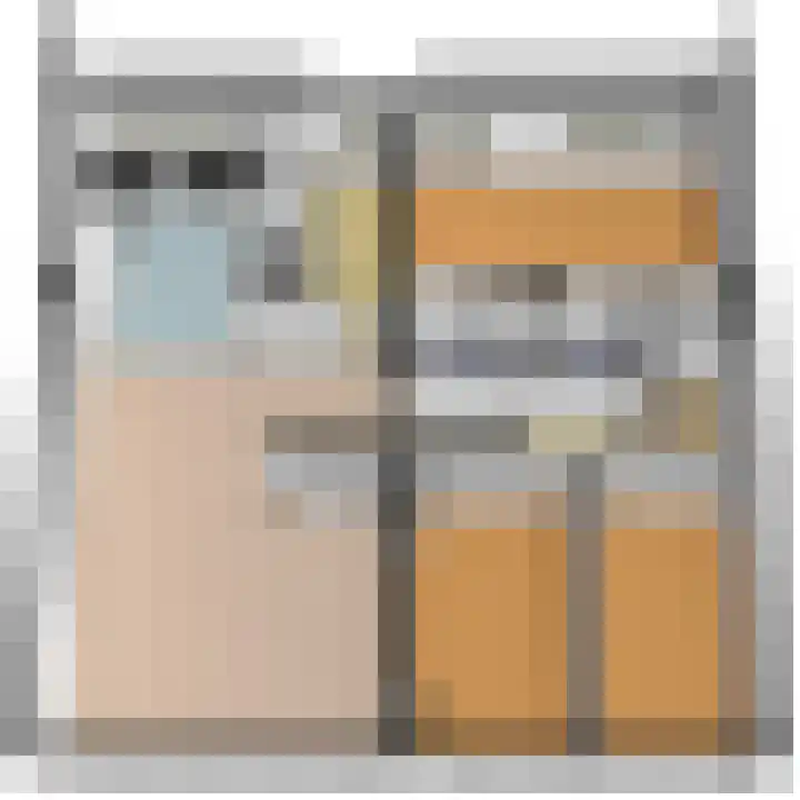 Westlandseweg 37 Delft thumbnail 32