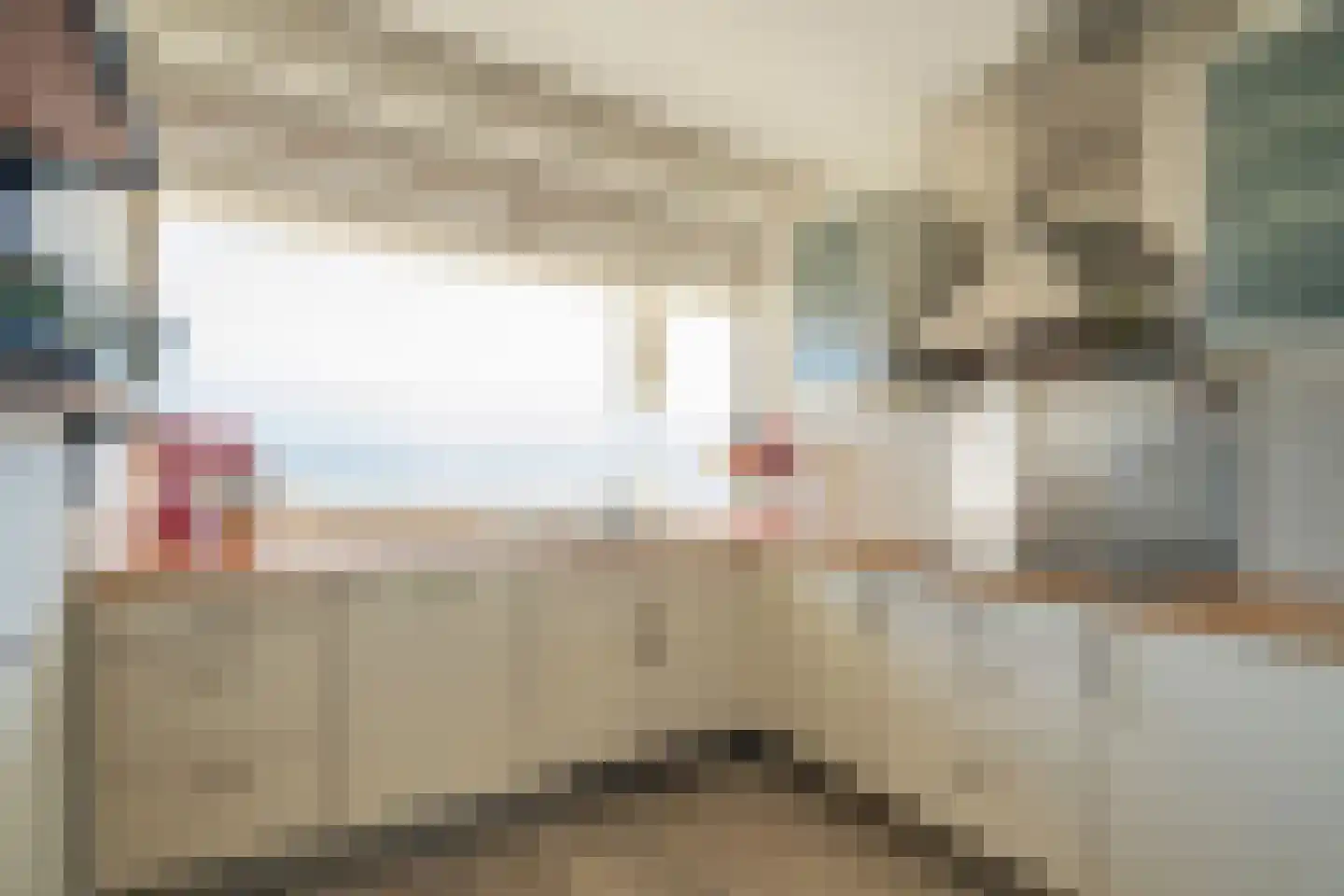 Westlandseweg 89 Delft thumbnail 10
