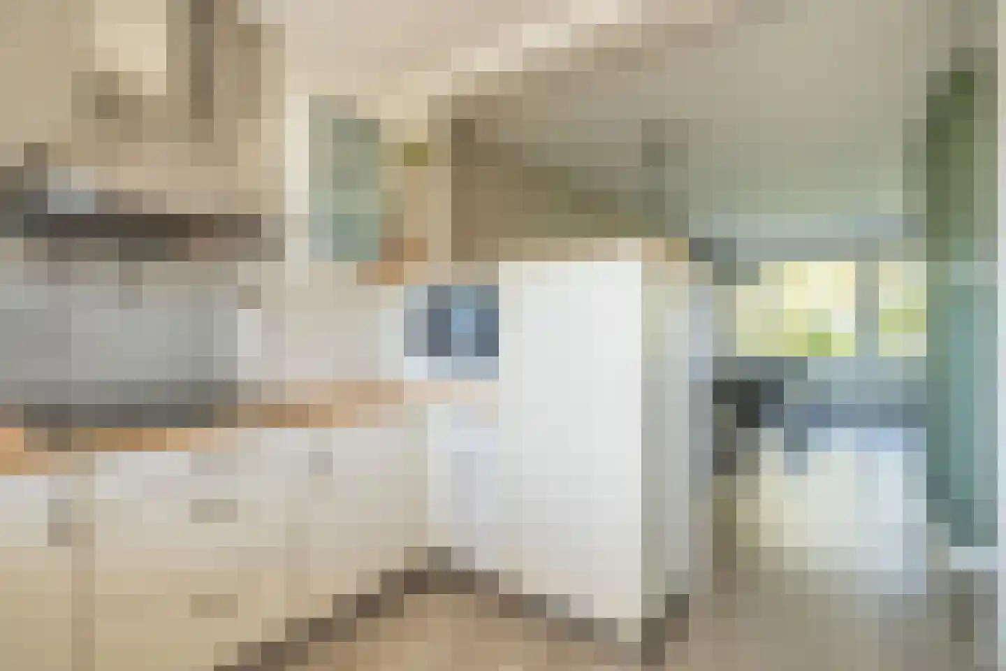 Westlandseweg 89 Delft thumbnail 9
