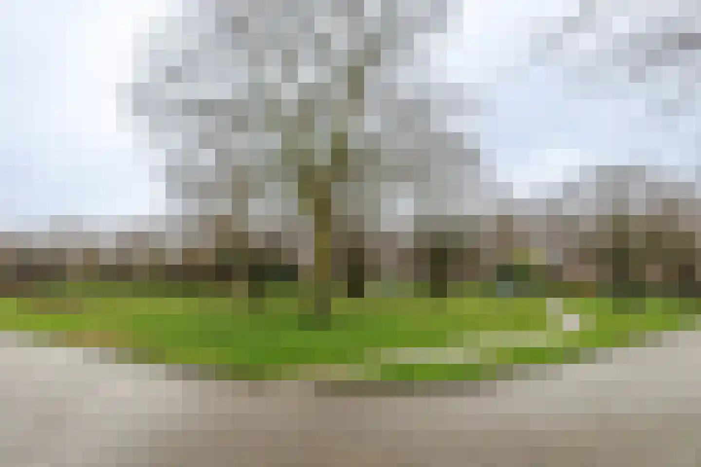 Westlandstraat 14 Sittard thumbnail 37
