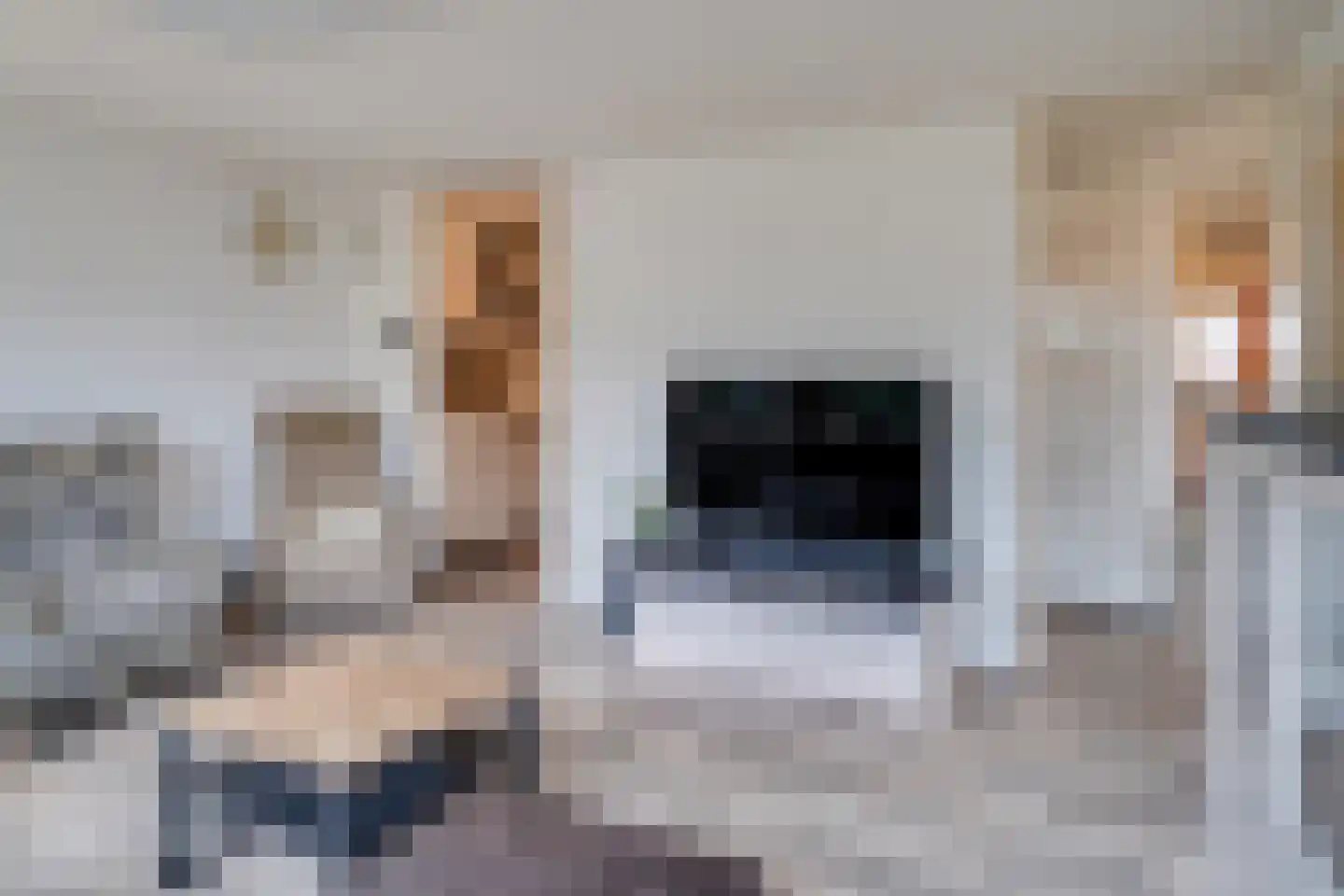 Westlandstraat 14 Sittard thumbnail 8