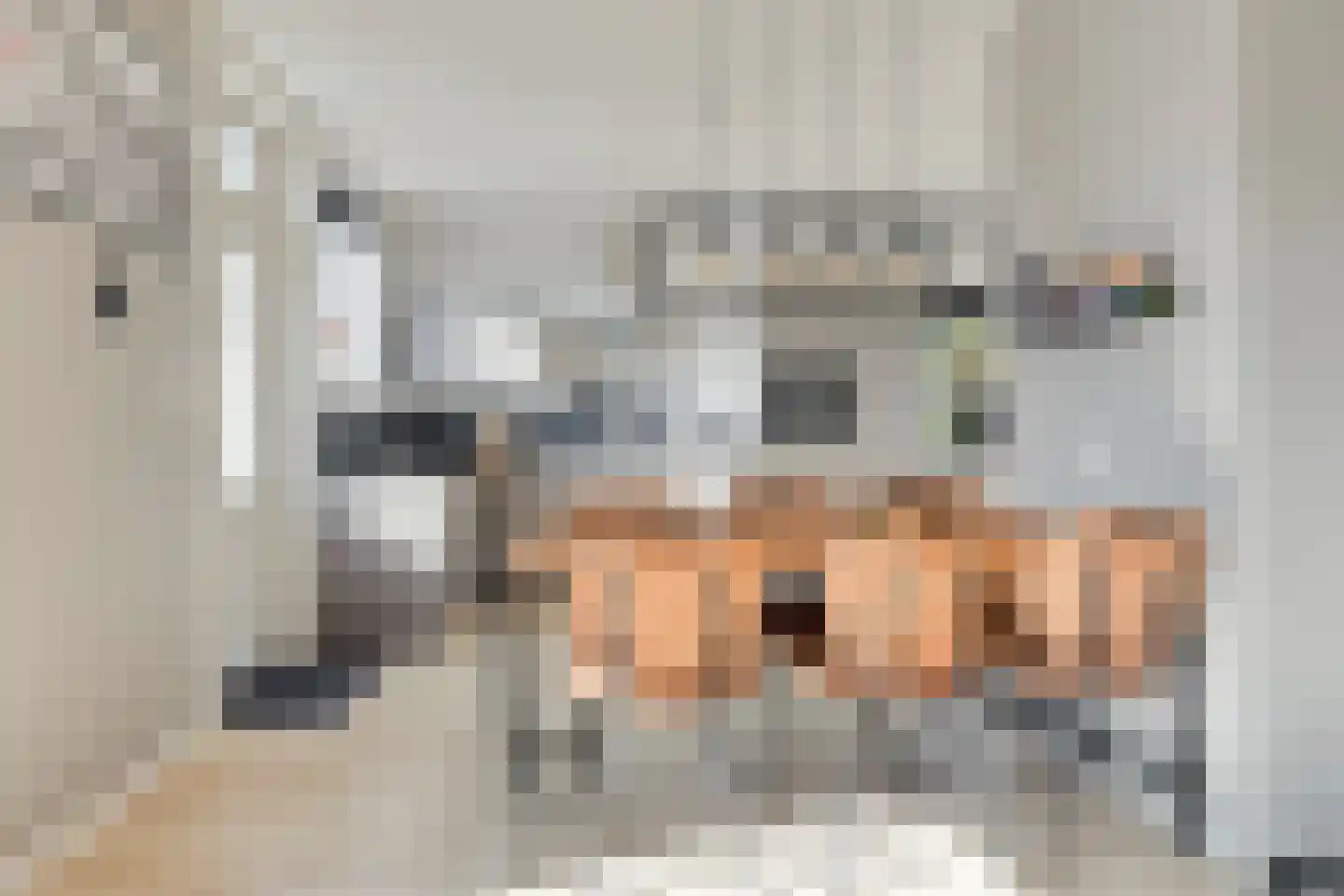 Westlandstraat 15 Breskens thumbnail 11