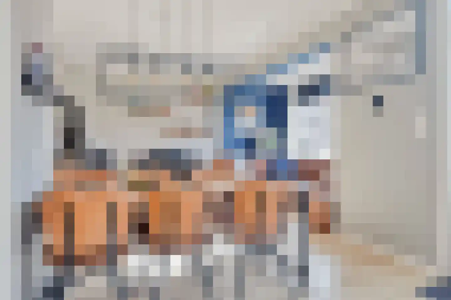 Westlandstraat 15 Breskens thumbnail 13