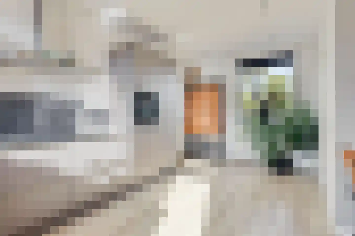 Westlandstraat 15 Breskens thumbnail 17