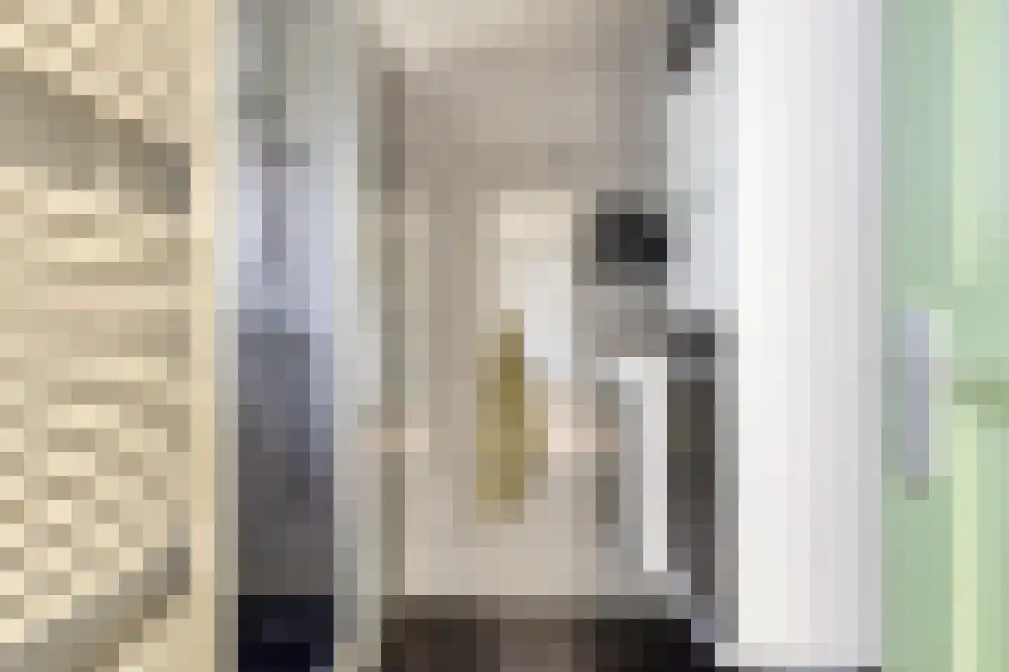 Westlandstraat 15 Breskens thumbnail 21