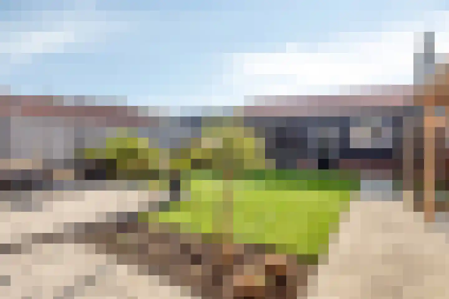 Westlandstraat 15 Breskens thumbnail 26