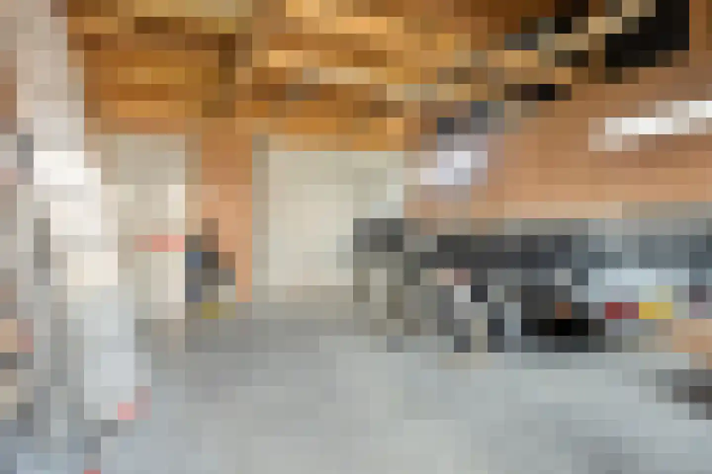 Westlandstraat 15 Breskens thumbnail 33