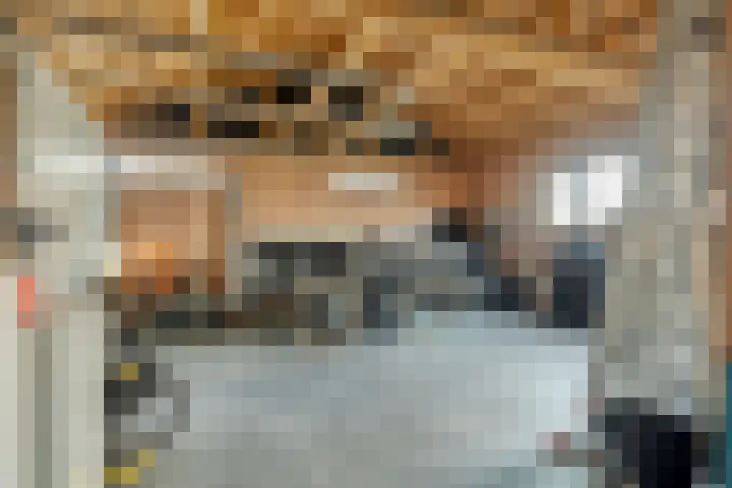 Westlandstraat 15 Breskens thumbnail 35