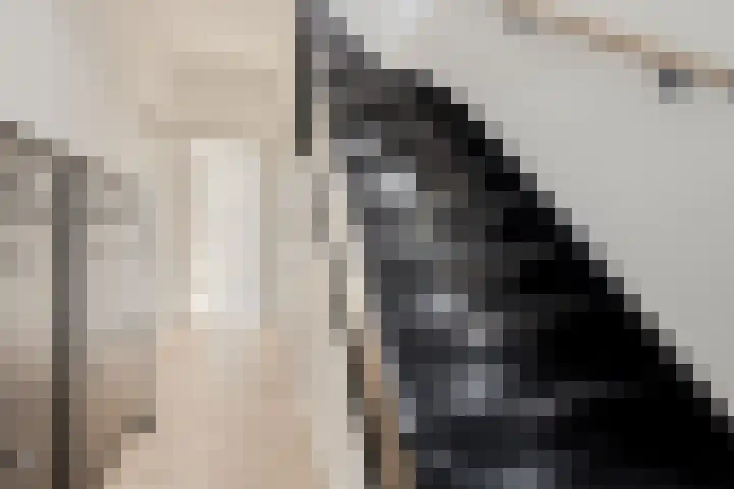 Westlandstraat 15 Breskens thumbnail 6