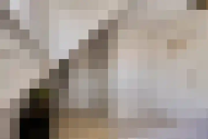 Westlandstraat 25 Naaldwijk thumbnail 16