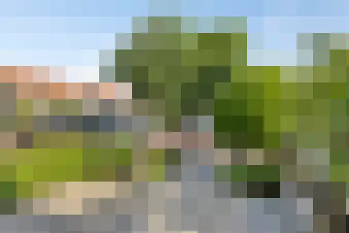Westlandstraat 25 Naaldwijk thumbnail 33