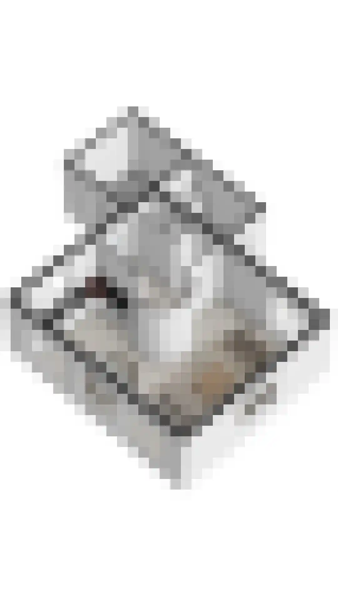 Westlangeweg 1 A 106 Hoofdplaat thumbnail 33