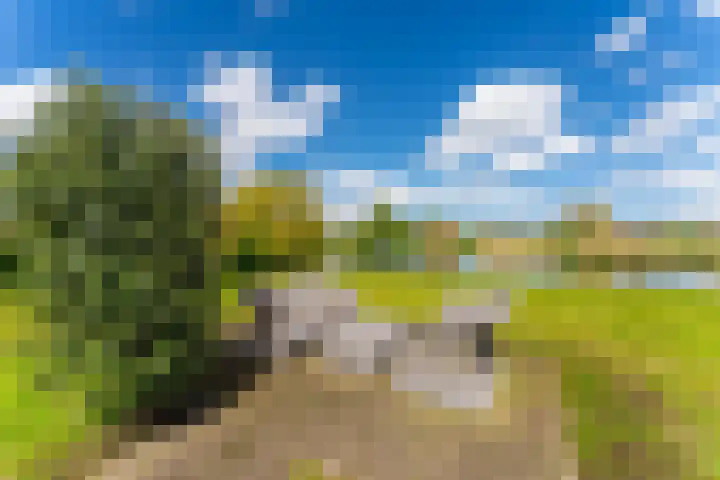 Westlangeweg 1 A 106 Hoofdplaat thumbnail 5