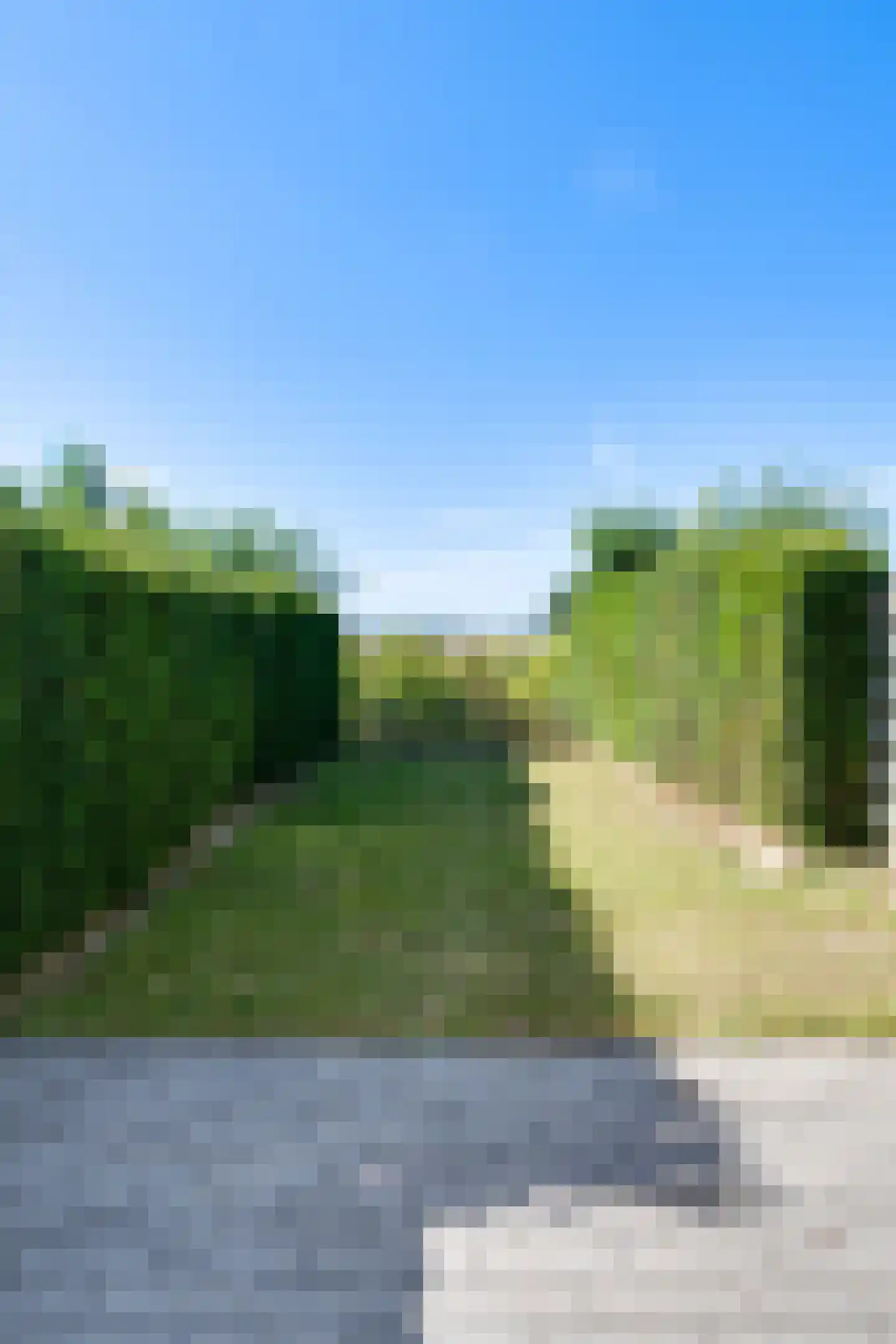 Westlangeweg 1 A 156 Hoofdplaat thumbnail 18