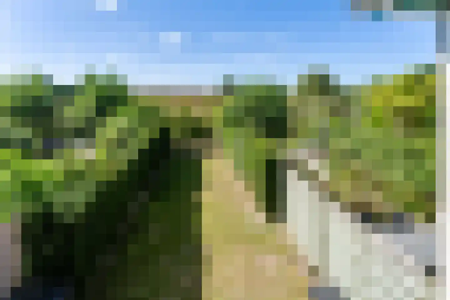 Westlangeweg 1 A 156 Hoofdplaat thumbnail 4