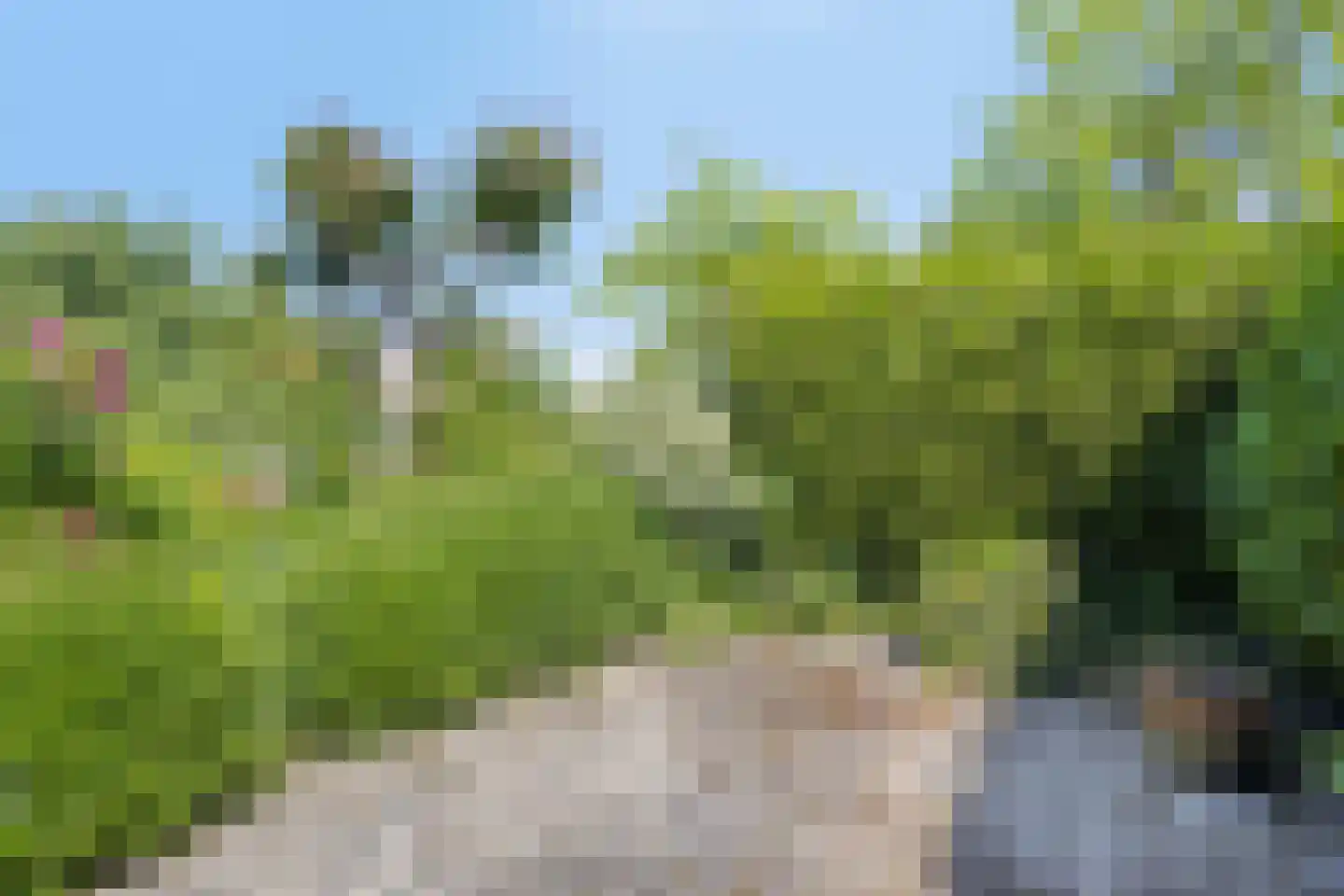 Westlangeweg 1 A 191 Hoofdplaat thumbnail 29