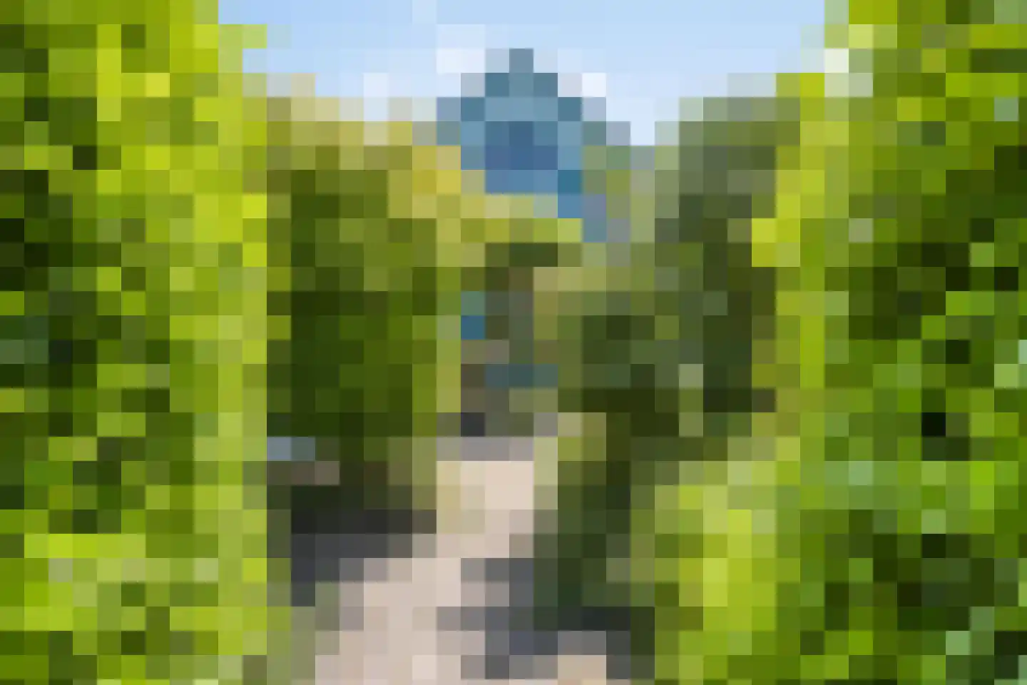 Westlangeweg 1 A 191 Hoofdplaat thumbnail 30