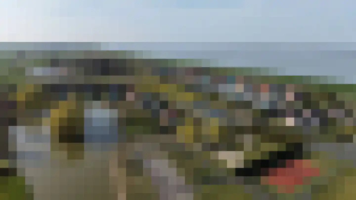 Westlangeweg 1 A 191 Hoofdplaat thumbnail 34