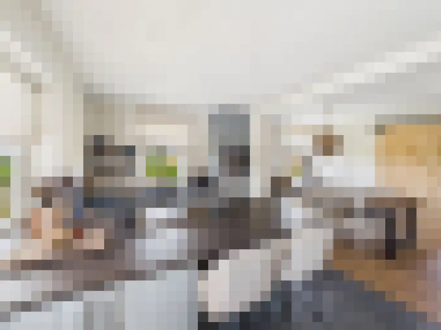 Westlangeweg 14 Hoofdplaat thumbnail 12